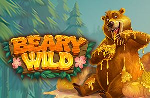 New Slot Beary Wild